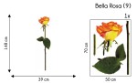 Bella rosa - hit decor